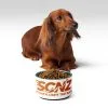 SCNZ Pet bowl
